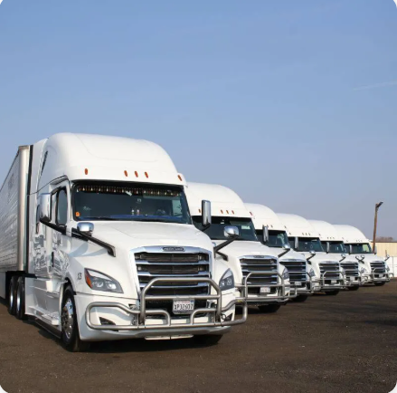 transportation and logistics